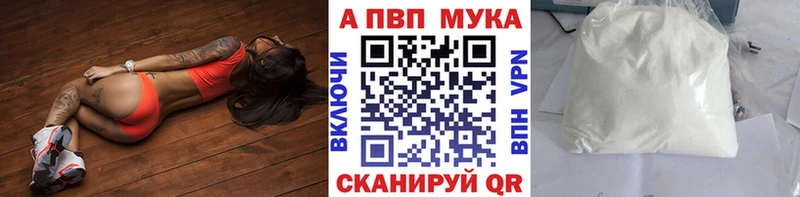 Альфа ПВП СК Назрань